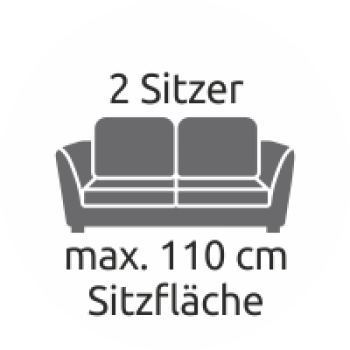 Polsterreinigung 2 Sitzer Couch