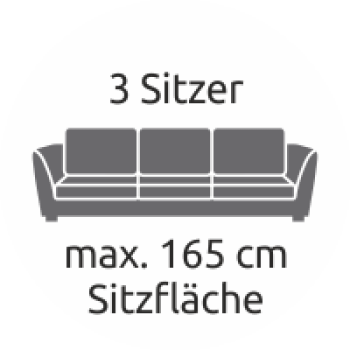 Polsterreinigung 3 Sitzer Couch