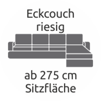 Polsterreinigung Eckcouch riesig